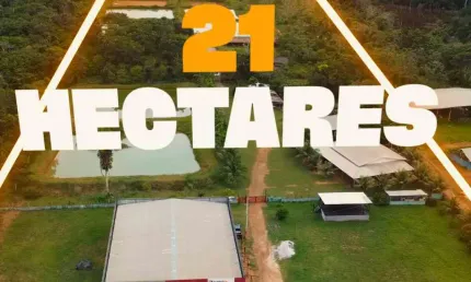 VENDO TERRENO NA RODOVIA MANOEL URBANO - KM 61 - MANACAPURU - AMAZONAS
