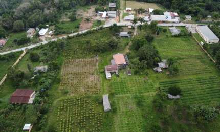VENDO TERRENO NO KM 36 - RAMAL DA CHACHOEIRA DO LEÃO EM MANAUS