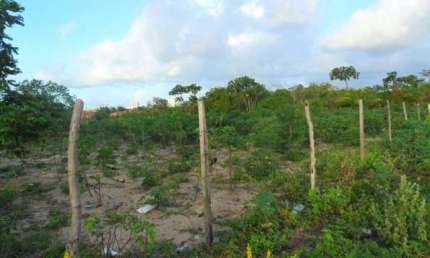 Terreno para vender, cond. Parque das Árvores, com área de 1.000 m².