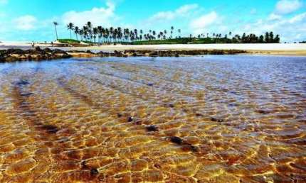 Terreno para vender, linda vista do mar, na praia de Jacumã, Barra de Maxaranguape, com área de 490
