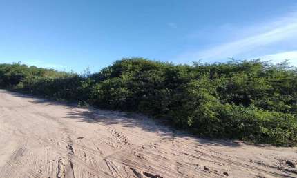 Terreno à venda na Distrito Campo de Santana, 2, Povoado de Pium, Nísia Floresta