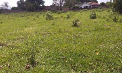 Terreno Residencial à venda, Dom Bosco, Ibiporã - TE1068.