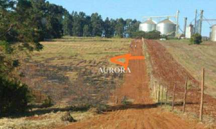 Terreno à venda, 1439 m² por R$ 89.000 - Guaravera/PR
