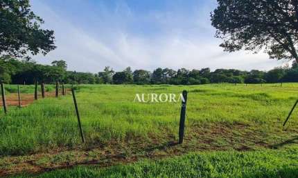 Terreno à venda, 8400 m² por R$ 3.550.000,00 - Estância Cabral - Cambé/PR