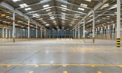 Barracão com  área construída: 12.500,00 m², 26.375,65 m² terreno,12 docas, pé direito com 7mts, londrina - pr.
