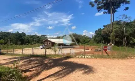 Chácara / sítio com 3 quartos à venda na R R_ Pedro Buhrer, 181, Campo Largo da Roseira, São José dos Pinhais