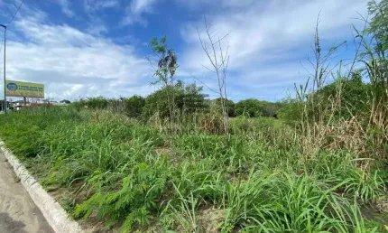 Área em Araruama - 9.620m2 - R$ 3.000.000,00 (Localização Estratégica) - Ponte dos Leites