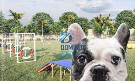 Terreno à venda, 278 m² por R$ 175.000,00 - Conjunto Manoel Mendes - Uberaba/MG