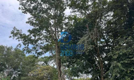 Terreno à venda na Avenida Pedro Lucas, Fabrício, Uberaba