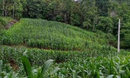 Terreno à venda na Geral do Rio Engano, 00, Rio Engano, Alfredo Wagner por R$ 500.000