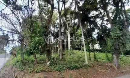 Terreno à venda no Souza Cruz, Brusque 