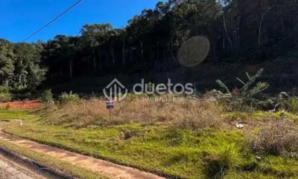 Terreno à venda, 286 m² por R$ 255.000,00 - Cedro Alto - Brusque/SC