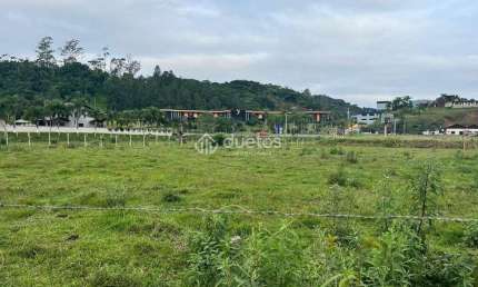Terreno para alugar, 11000 m² por R$ 5.000,00/mês - Limoeiro - Brusque/SC