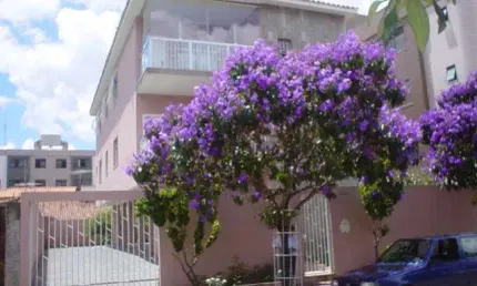 Apartamento com 3 quartos à venda no Castelo, Belo Horizonte  por R$ 550.000