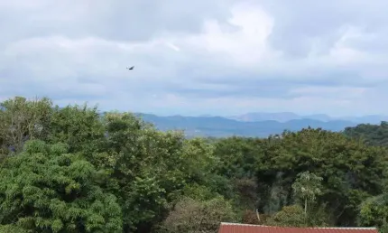 Duplex para venda com 100 metros quadrados com 3 quartos em São Geraldo - Juiz de Fora - MG