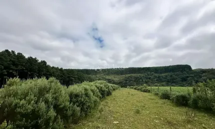 Chácara / sítio à venda no Tributo, Lages , 57000 m2 por R$ 500.000