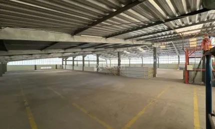 Barracão / galpão / depósito com 5 salas para alugar no salto weissbach, blumenau , 4400 m2 por r$ 65.000