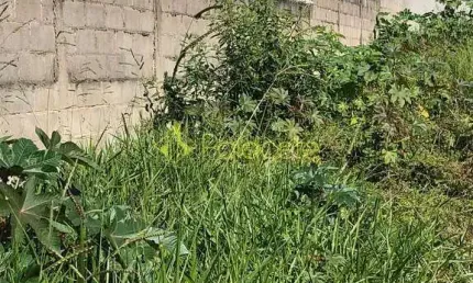 Terreno à venda 125m², residencial mombaça, pindamonhangaba - sp