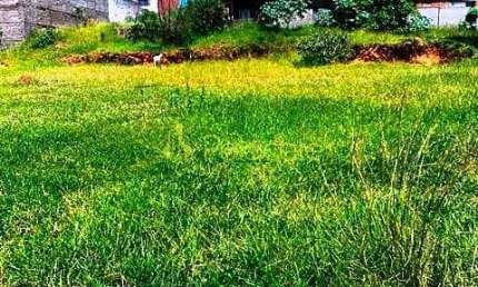 Terreno à venda 136.49M², Cidade Nova, Pindamonhangaba - SP