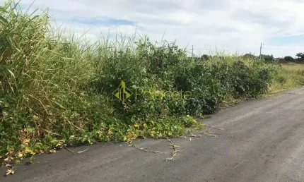 Terreno à venda 125m², conjunto habitacional terra dos ipês w, pindamonhangaba - sp