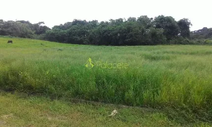 Terreno à venda 340M², Parque São Domingos, Pindamonhangaba - SP