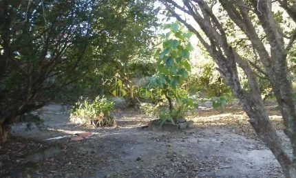 Terreno à venda 2 Quartos, 2 Vagas, 1700M², Loteamento Residencial Andrade, Pindamonhangaba - SP