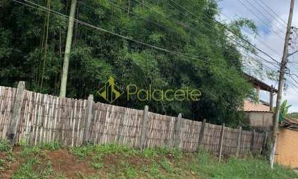 Terreno à venda 5000M², Jardim Campo Alegre, Pindamonhangaba - SP