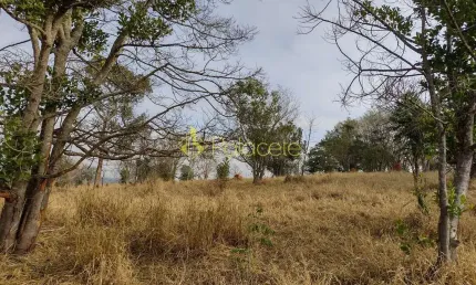 Terreno à venda no Barreiro, Taubaté 