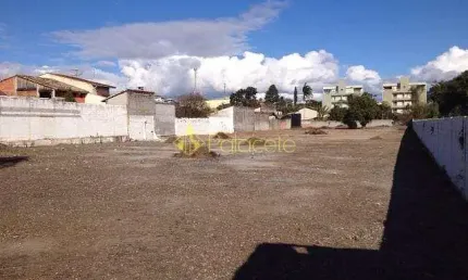 Terreno à venda 5000m², crispim, pindamonhangaba - sp