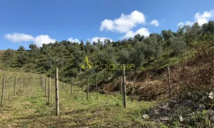Chácara / sítio à venda no Pinhal Novo, Lorena 