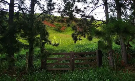 Chácara à venda 30000m², zona rural, silveiras - sp