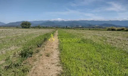 Chácara à venda 363000M², Bonsucesso, Pindamonhangaba - SP