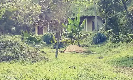 Chácara à venda 2 Quartos, 4 Vagas, 26000M², Bairro das Oliveiras, Pindamonhangaba - SP