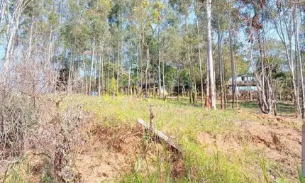 Terreno com 1.632,00 M2 à venda, Pedreira, Guaratinguetá, SP