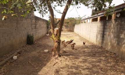 Terreno à venda todo murado ótima topografia , Residencial e Comercial Laerte Asumpção, Pindamonhan