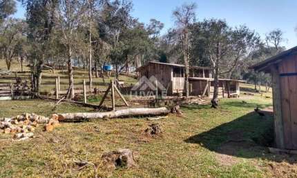 Chácara / sítio com 3 quartos à venda na Zona Rural, Rio Negrinho 