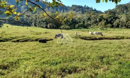 Chácara / sítio com 2 quartos à venda na Área Rural de Jaraguá do Sul, Jaraguá do Sul 