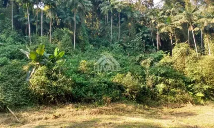 Chácara / sítio à venda no Rio Branco, Guaramirim 