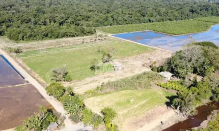 Chácara / sítio com 3 quartos à venda na Zona Rural, Araquari 