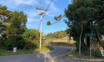 Terreno Industrial para venda  no Bairro Ana Rech em Caxias do Sul