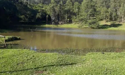 Chácara para venda  no Bairro Parada Cristal em Caxias do Sul