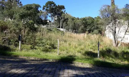 Terreno para venda  no bairro ana rech em caxias do sul