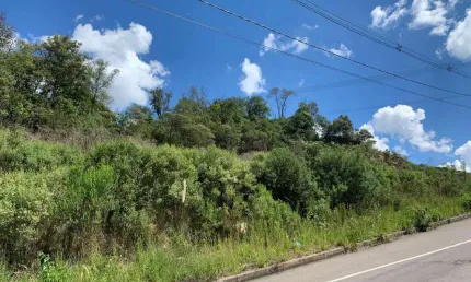 Terreno á venda no Vale dos Pinhais Bairro São Ciro