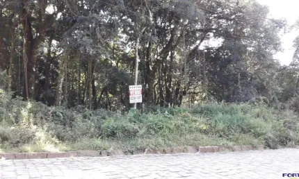 Terreno para venda  no bairro ana rech em caxias do sul