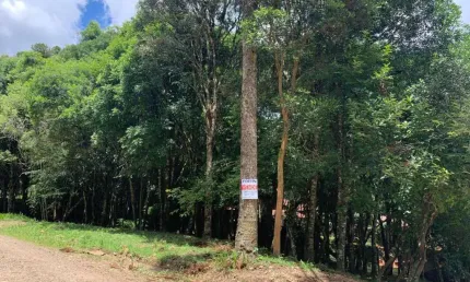 Terreno à venda na Ana Rech, Caxias do Sul 