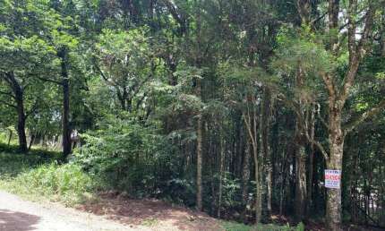 Terreno à venda na Rua Ismael José Rangel de Castilhos, Ana Rech, Caxias do Sul