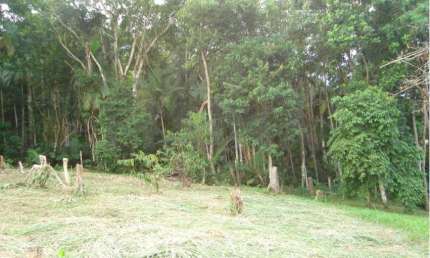 Terreno comercial à venda no Do Salto, Blumenau , 5150 m2 por R$ 1.400.000