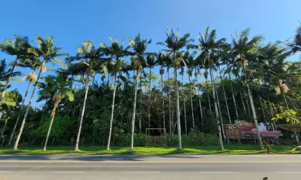 Terreno à venda no testo salto, blumenau , 25000 m2 por r$ 4.200.000