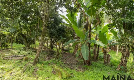 Terreno comercial à venda em Água Verde, Blumenau  por R$ 4.020.000