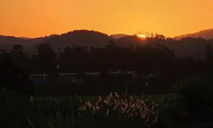 Terreno à venda em poço grande, gaspar , 451 m2 por r$ 199.000